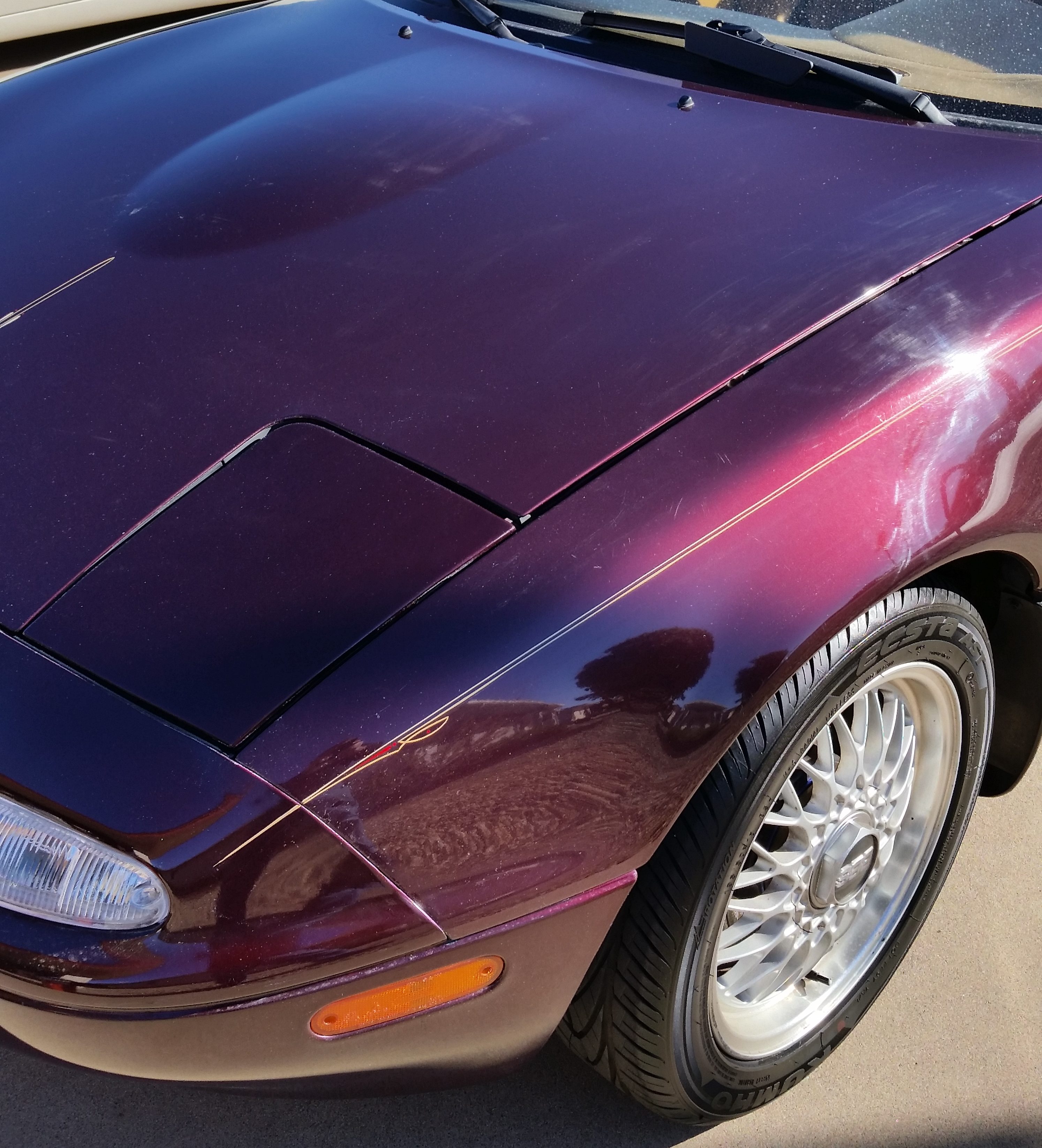 List 97+ Pictures examples of pinstriping on cars Updated